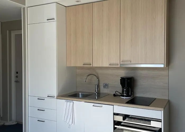 Sunny Hiekkasaerkaet * 卡拉约基