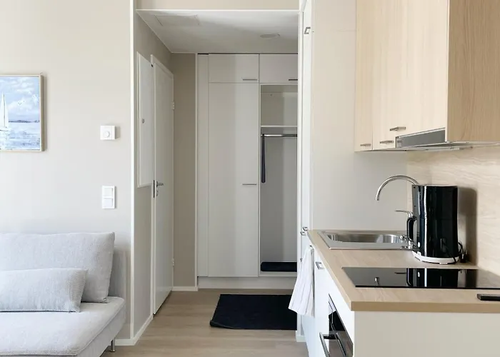 Sunny Hiekkasaerkaet 卡拉约基