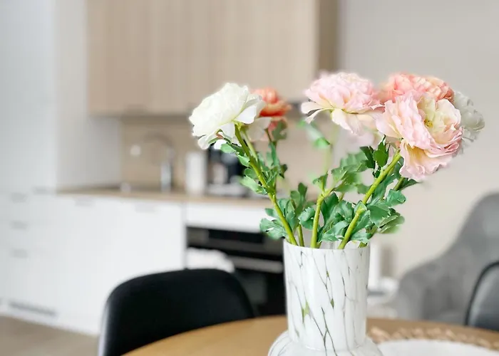 Sunny Hiekkasaerkaet * 卡拉约基